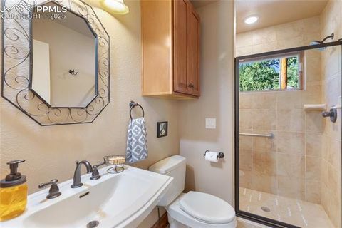 Tiny photo for 80 Feldspar Road, Florissant, CO 80816 (MLS # 1916413)