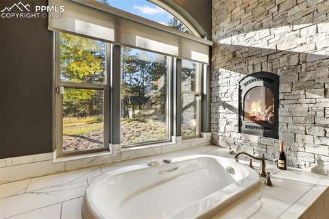 Tiny photo for 1125 Highlands Court, Woodland Park, CO 80863 (MLS # 3596985)