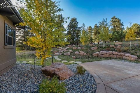 Tiny photo for 1125 Highlands Court, Woodland Park, CO 80863 (MLS # 3596985)