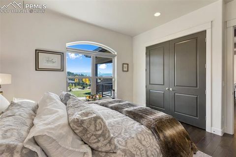 Tiny photo for 1125 Highlands Court, Woodland Park, CO 80863 (MLS # 3596985)