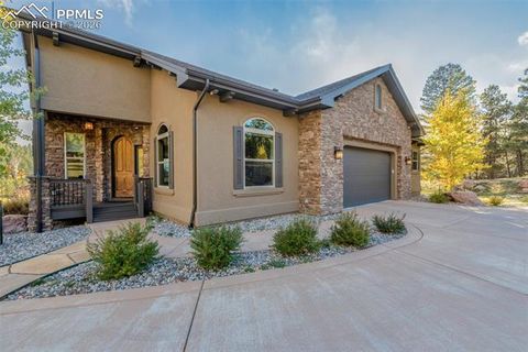 Tiny photo for 1125 Highlands Court, Woodland Park, CO 80863 (MLS # 3596985)