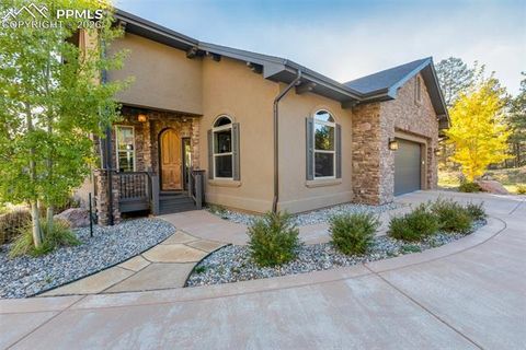 Tiny photo for 1125 Highlands Court, Woodland Park, CO 80863 (MLS # 3596985)