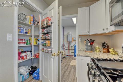 Tiny photo for 17 Garfield Circle, Florissant, CO 80816 (MLS # 5026529)