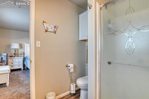 Tiny photo for 17 Garfield Circle, Florissant, CO 80816 (MLS # 5026529)