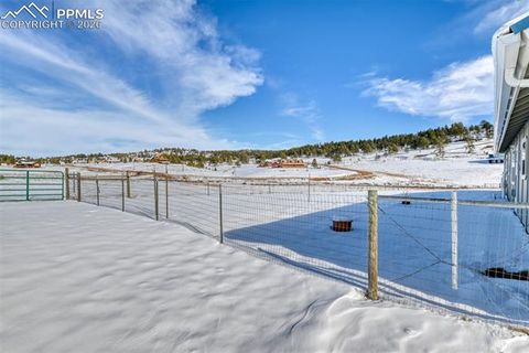 Tiny photo for 17 Garfield Circle, Florissant, CO 80816 (MLS # 5026529)