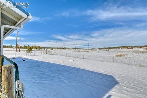 Tiny photo for 17 Garfield Circle, Florissant, CO 80816 (MLS # 5026529)