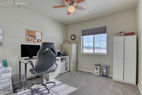 Tiny photo for 17 Garfield Circle, Florissant, CO 80816 (MLS # 5026529)