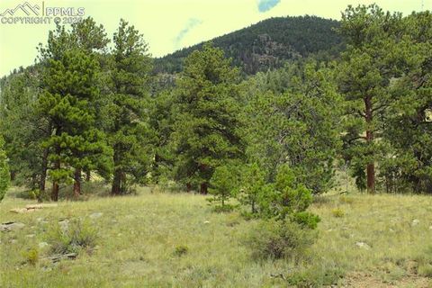 Highway 24 Hartsel CO 80827