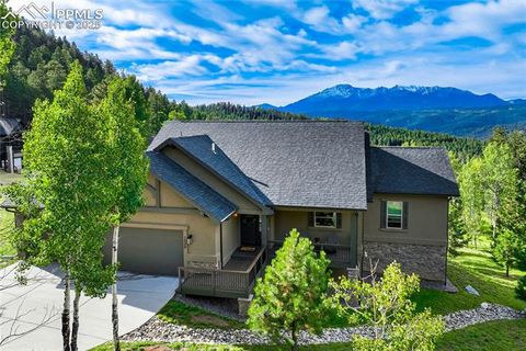 1030 Locklin Way Woodland Park CO 80863