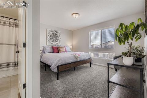 Tiny photo for 8747 Zeal Court, Colorado Springs, CO 80924 (MLS # 7732170)