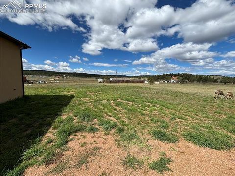 Tiny photo for 489 Due South Road, Florissant, CO 80816 (MLS # 6557936)