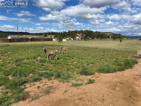 Tiny photo for 489 Due South Road, Florissant, CO 80816 (MLS # 6557936)