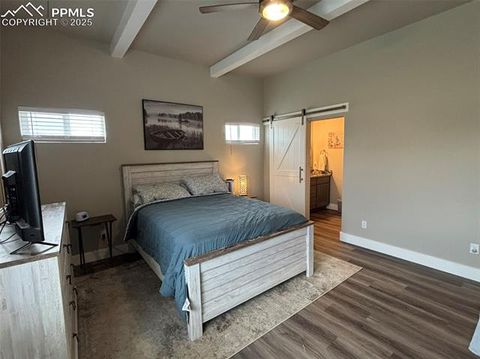 Tiny photo for 489 Due South Road, Florissant, CO 80816 (MLS # 6557936)
