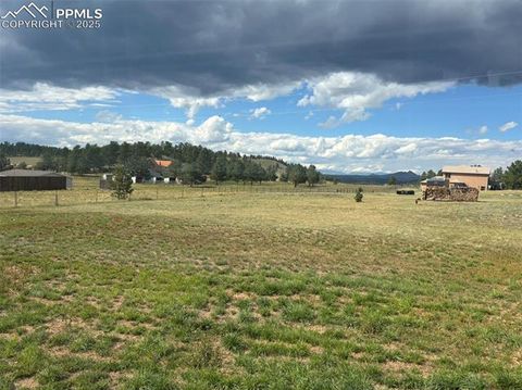 Tiny photo for 489 Due South Road, Florissant, CO 80816 (MLS # 6557936)