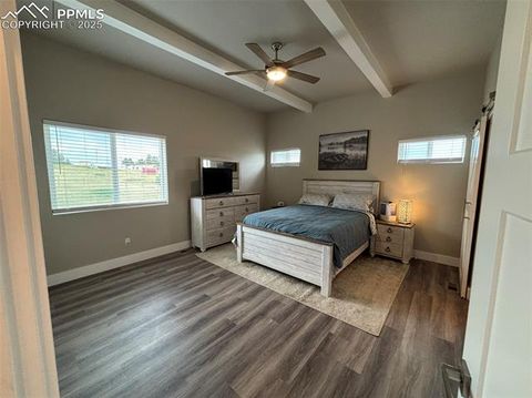 Tiny photo for 489 Due South Road, Florissant, CO 80816 (MLS # 6557936)