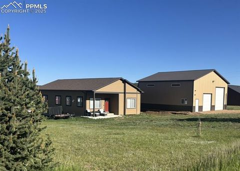 Photo of 489 Due South Road, Florissant, CO 80816 (MLS # 6557936)