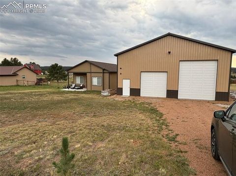 Tiny photo for 489 Due South Road, Florissant, CO 80816 (MLS # 6557936)
