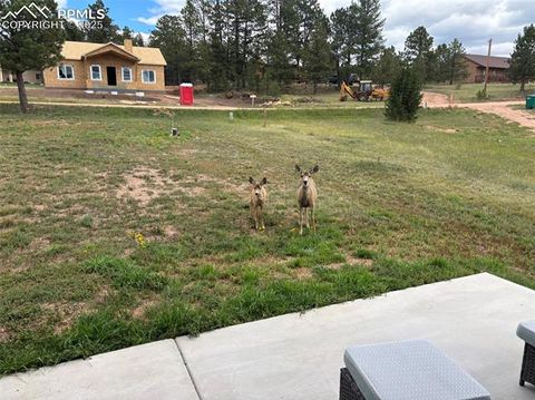 Tiny photo for 489 Due South Road, Florissant, CO 80816 (MLS # 6557936)