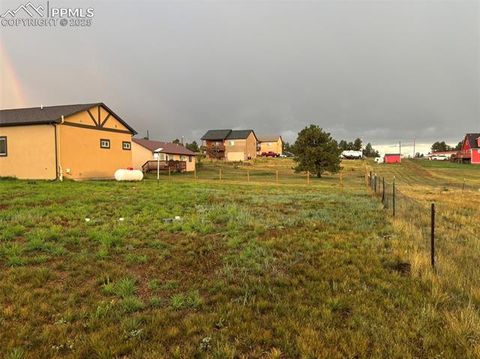 Tiny photo for 489 Due South Road, Florissant, CO 80816 (MLS # 6557936)