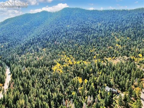 Photo of 5295 Kulsa Road, Cascade, CO 80809 (MLS # 2309588)