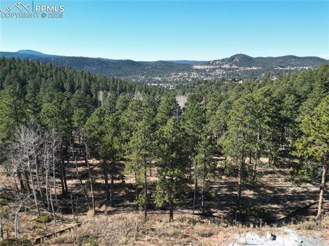 Photo of 1410 Red Haven Place, Woodland Park, CO 80863 (MLS # 2637863)