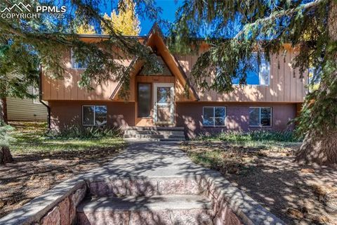 904 W Lorraine Avenue Woodland Park CO 80863