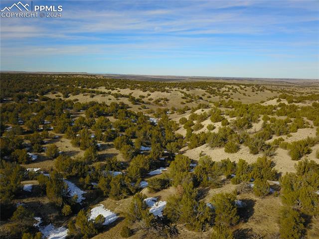 Bear Springs Trail