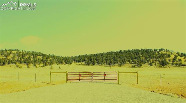 31180 Highway 9