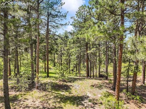 Photo of 1180 Lone Scout Lookout, Monument, CO 80132 (MLS # 6411305)