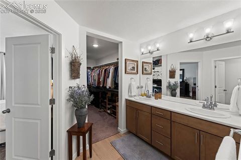 Tiny photo for 6355 Laud Point, Colorado Springs, CO 80924 (MLS # 9404678)