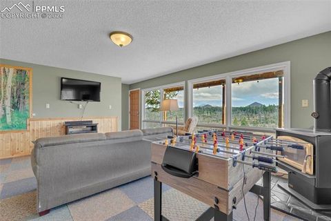 Tiny photo for 81 Hedges Circle, Woodland Park, CO 80863 (MLS # 7941539)