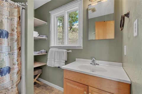 Tiny photo for 81 Hedges Circle, Woodland Park, CO 80863 (MLS # 7941539)