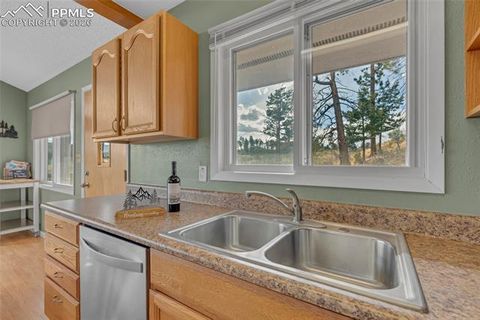 Tiny photo for 81 Hedges Circle, Woodland Park, CO 80863 (MLS # 7941539)