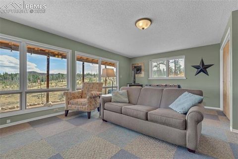 Tiny photo for 81 Hedges Circle, Woodland Park, CO 80863 (MLS # 7941539)