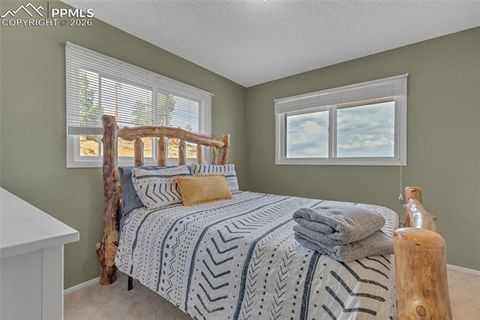 Tiny photo for 81 Hedges Circle, Woodland Park, CO 80863 (MLS # 7941539)