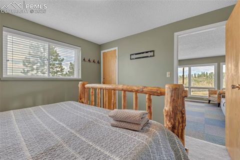 Tiny photo for 81 Hedges Circle, Woodland Park, CO 80863 (MLS # 7941539)