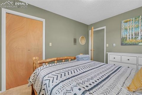 Tiny photo for 81 Hedges Circle, Woodland Park, CO 80863 (MLS # 7941539)