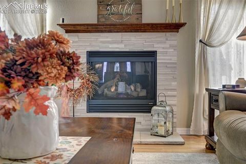 Tiny photo for 11123 Pemble Court, Peyton, CO 80831 (MLS # 1104431)