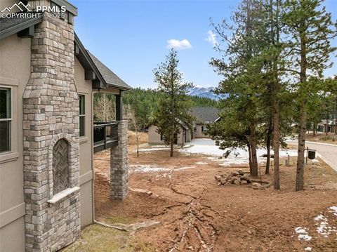 Tiny photo for 1340 Blue Haven Place, Woodland Park, CO 80863 (MLS # 9167469)