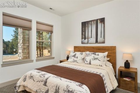 Tiny photo for 1340 Blue Haven Place, Woodland Park, CO 80863 (MLS # 9167469)