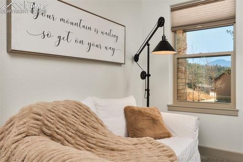 Tiny photo for 1340 Blue Haven Place, Woodland Park, CO 80863 (MLS # 9167469)