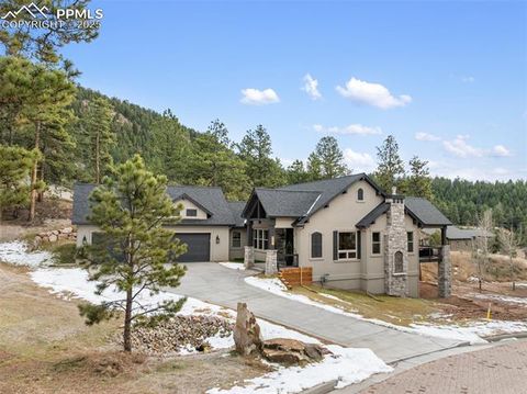 Tiny photo for 1340 Blue Haven Place, Woodland Park, CO 80863 (MLS # 9167469)