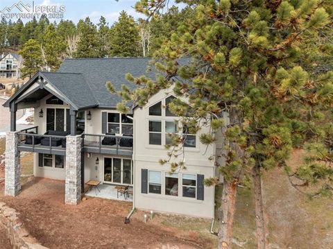 Tiny photo for 1340 Blue Haven Place, Woodland Park, CO 80863 (MLS # 9167469)