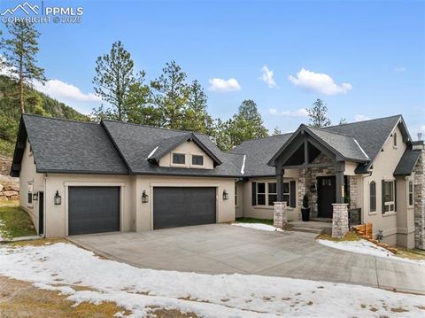 Tiny photo for 1340 Blue Haven Place, Woodland Park, CO 80863 (MLS # 9167469)