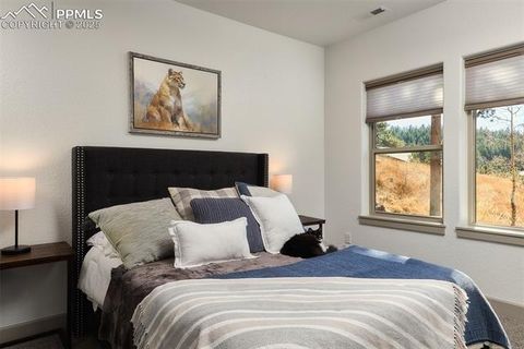 Tiny photo for 1340 Blue Haven Place, Woodland Park, CO 80863 (MLS # 9167469)