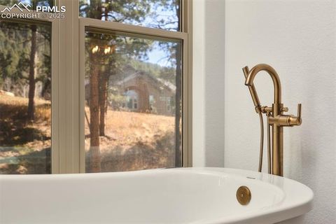 Tiny photo for 1340 Blue Haven Place, Woodland Park, CO 80863 (MLS # 9167469)