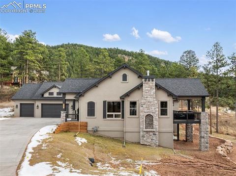 Tiny photo for 1340 Blue Haven Place, Woodland Park, CO 80863 (MLS # 9167469)