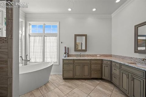 Tiny photo for 2595 Tamora Way, Colorado Springs, CO 80919 (MLS # 9486704)