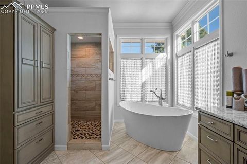 Tiny photo for 2595 Tamora Way, Colorado Springs, CO 80919 (MLS # 9486704)