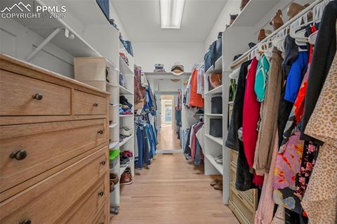 Tiny photo for 2595 Tamora Way, Colorado Springs, CO 80919 (MLS # 9486704)